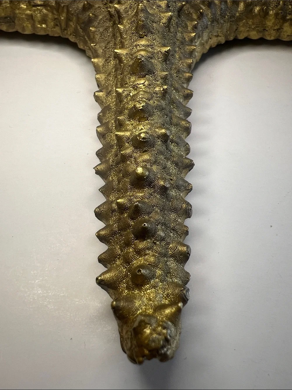 Vintage Gold Starfish Wall Decor Hanging Sculpture Large 3D Coastal Accent